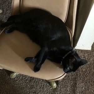 Meet your Posher, Cody